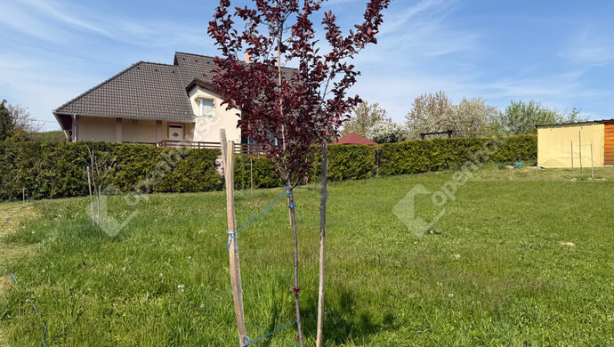 12. kép | Eladó Telek, Nagykapornak (#181185)