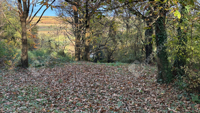 17. kép | Eladó Nyaraló, Egervár (#178107)