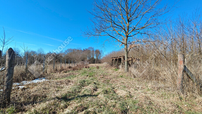 8. kép | Eladó Telek, Halastó (#180058)