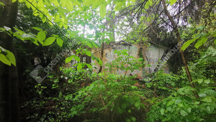 0. kép | Eladó Nyaraló, Őrtilos (#175761)