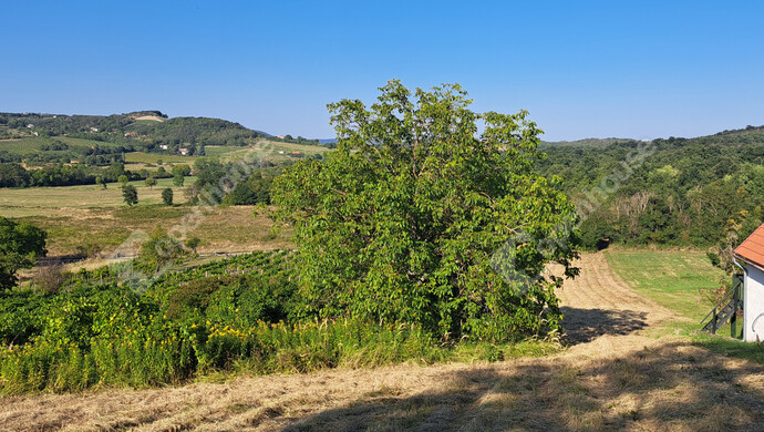 11. kép | Eladó Családi ház, Káptalantóti (#180046)