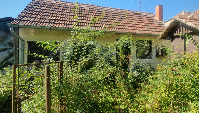 9. kép | Eladó Családi ház, Börzönce (#184358)