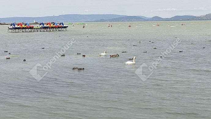 23. kép | Eladó Téglaépítésű lakás, Fonyód (#177780)