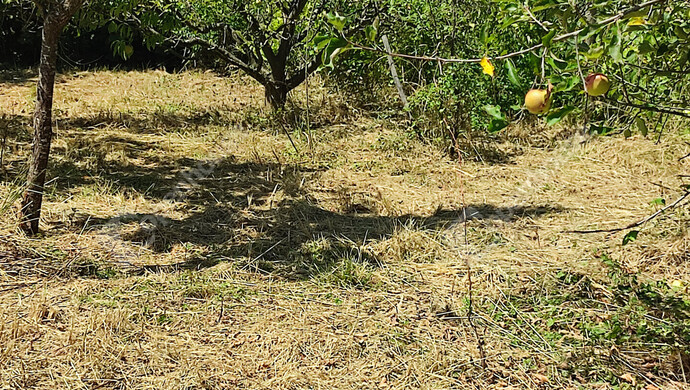 64. kép | Eladó Nyaraló, Szepetnek (#176202)