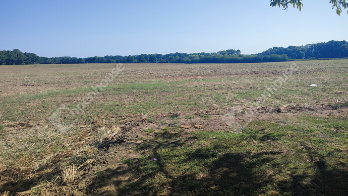 7. kép | Eladó Családi ház, Letenye (#176537)