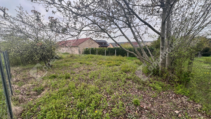 3. kép | Eladó Telek, Kópháza (#181100)