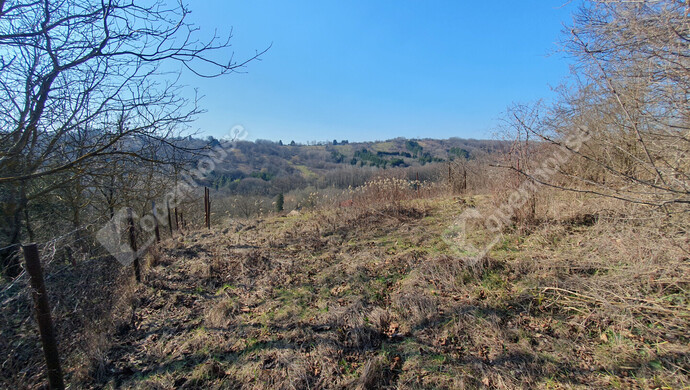 91. kép | Eladó Nyaraló, Homokkomárom (#180173)