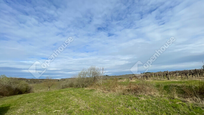 1. kép | Eladó Telek, Sopron (#181157)