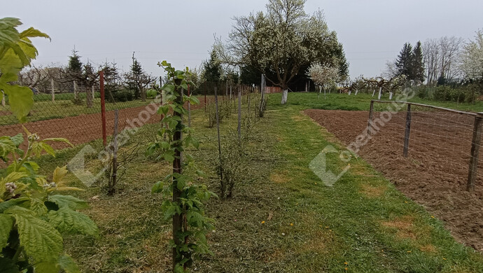 41. kép | Eladó Családi ház, Nagykanizsa (#181326)