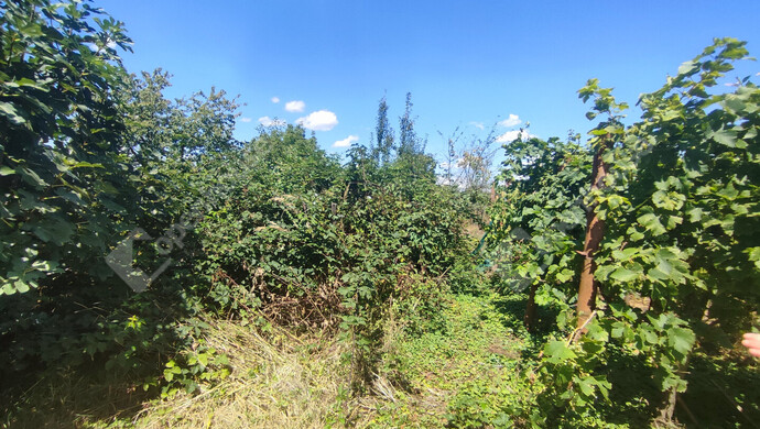 48. kép | Eladó Nyaraló, Szepetnek (#176202)