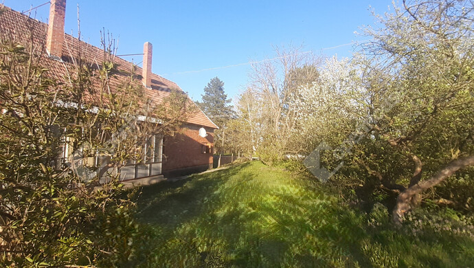 59. kép | Eladó Családi ház, Belezna (#180874)