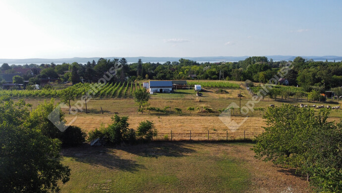 7. kép | Eladó Telek, Balatonszárszó (#175510)