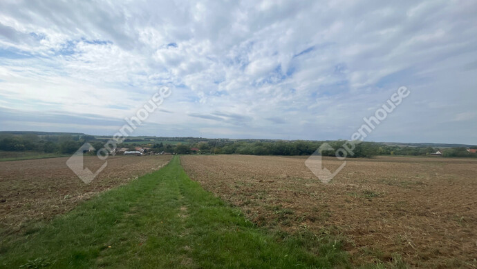 21. kép | Eladó Családi ház, Mernye (#177347)