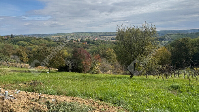 2. kép | Eladó Zárt kert, Milejszeg (#177563)