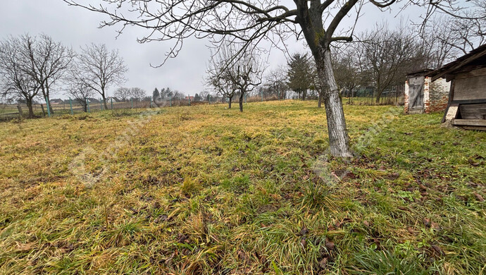 3. kép | Eladó Telek, Szentliszló (#179025)