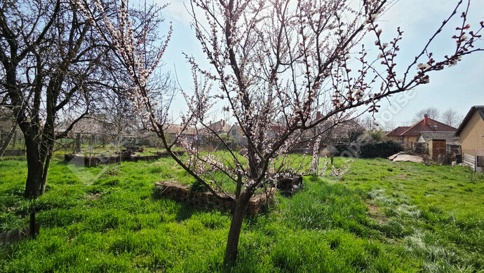 1. kép | Kápolnásnyék eladó építési telek | Eladó Telek, Kápolnásnyék (#180674)