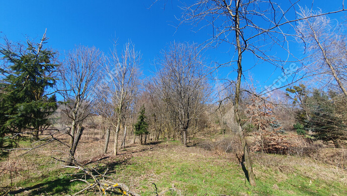 11. kép | Eladó Zárt kert, Homokkomárom (#180107)