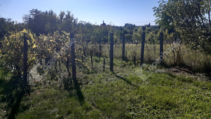 39. kép | Eladó Nyaraló, Nagykanizsa (#177111)