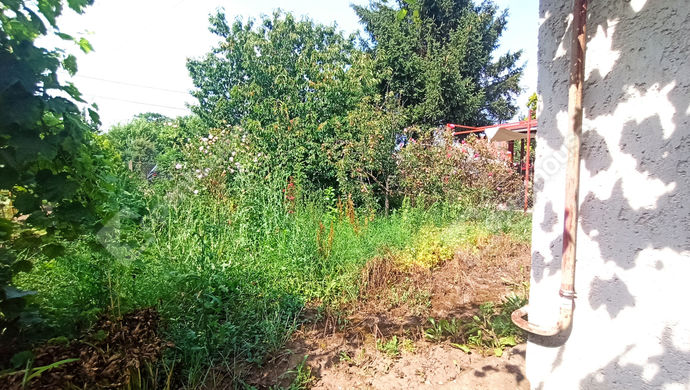 8. kép | Eladó Családi ház, Debrecen (#163622)