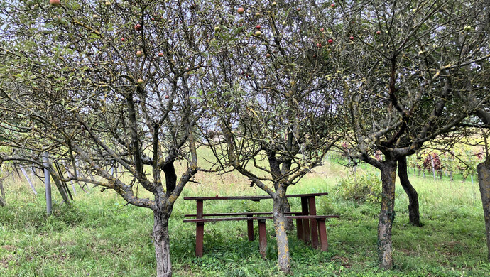 11. kép | Eladó Zárt kert,  (#177177)