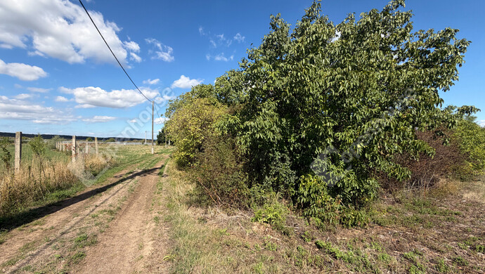 5. kép | Eladó Mezőgazdasági, Sopron (#184626)