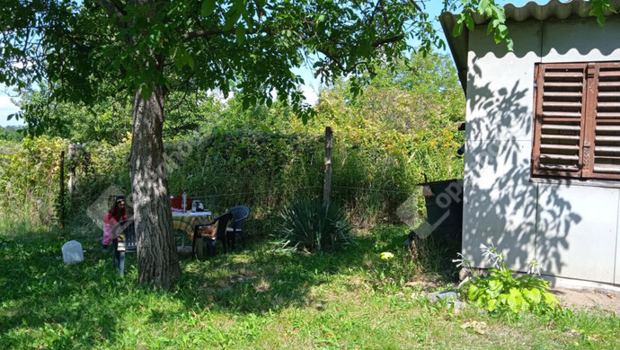 3. kép | Telek kisházzal | Eladó Zárt kert, Zalaegerszeg (#176917)