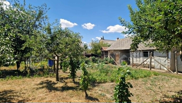 37. kép | Eladó Családi ház, Súr (#182912)