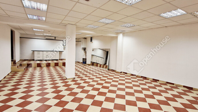 8. kép | Kiadó Iroda, Miskolc (#179790)