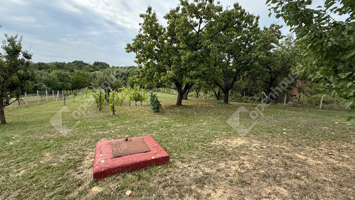 26. kép | Eladó Zárt kert, Nagykapornak (#176686)