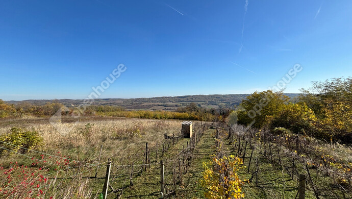 6. kép | Eladó Zárt kert, Pethőhenye (#178124)