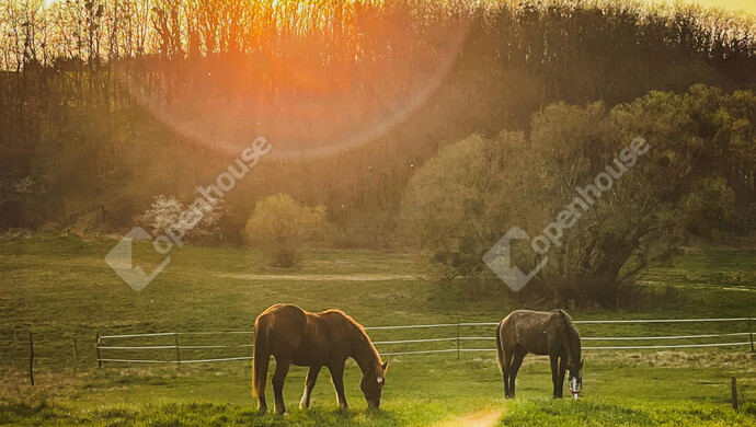 7. kép | Eladó Telek, Hagyárosbörönd (#179152)