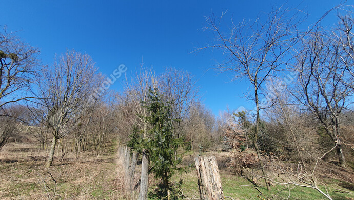 10. kép | Eladó Zárt kert, Homokkomárom (#180107)