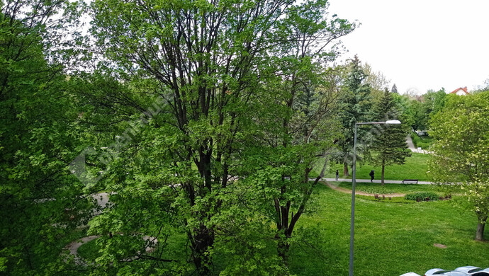 18. kép | Kiadó Társasházi lakás, Zalaegerszeg (#175280)