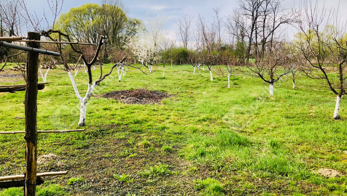 14. kép | Eladó Családi ház, Murakeresztúr (#180670)