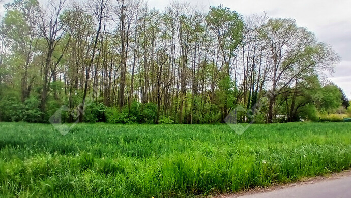 2. kép | Eladó Telek, Zalaegerszeg (#181405)