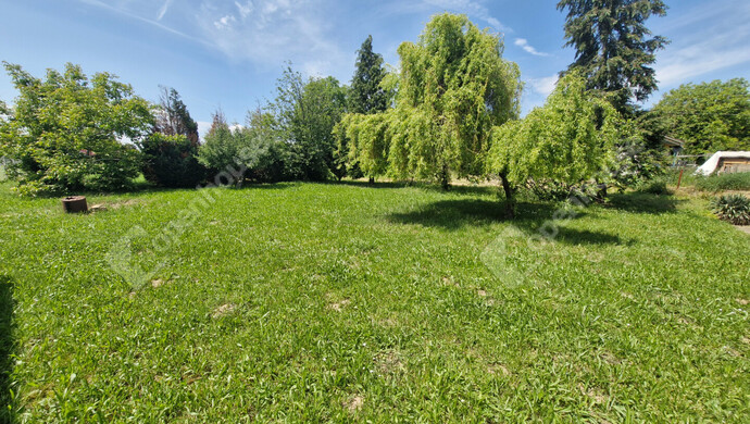 29. kép | Eladó Családi ház, Igal (#177919)