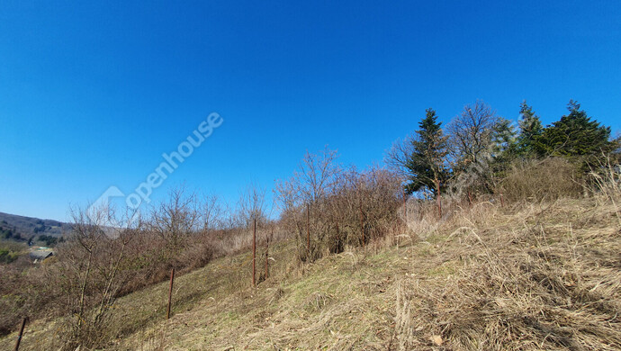 98. kép | Eladó Nyaraló, Homokkomárom (#180173)