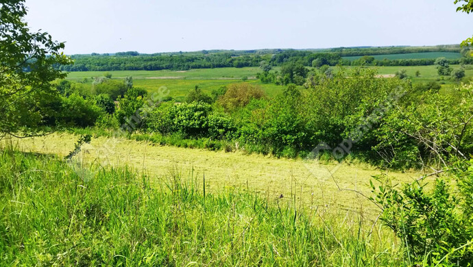 4. kép | Eladó Telek, Öreglak (#179289)