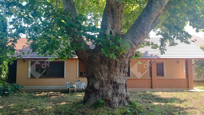 24. kép | Eladó Családi ház, Balatonboglár (#177807)