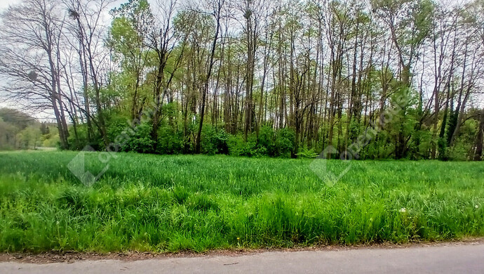 3. kép | Eladó Telek, Zalaegerszeg (#181405)