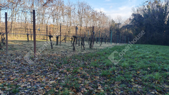 27. kép | Eladó Nyaraló, Letenye (#178652)