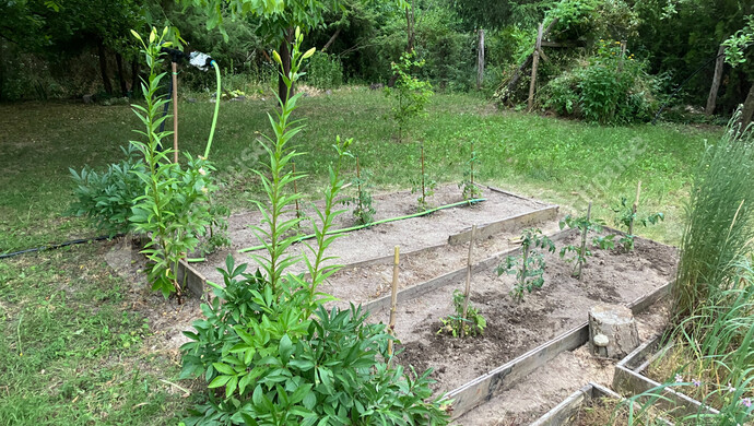 16. kép | Eladó Zárt kert, Bőny (#180133)