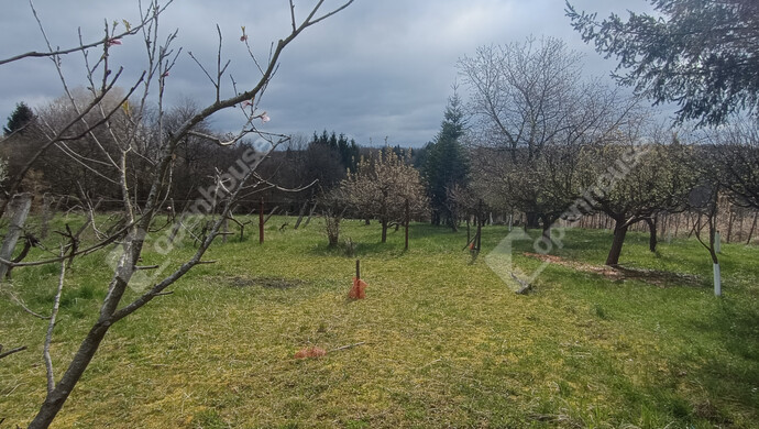 20. kép | Eladó Családi ház, Nagykanizsa (#180983)