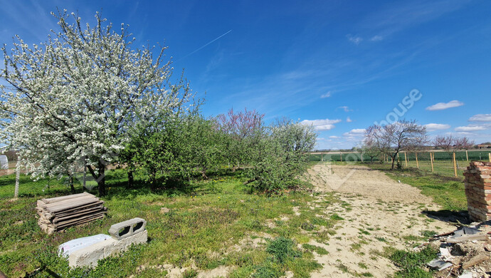 23. kép | Eladó Családi ház, Gelse (#181090)