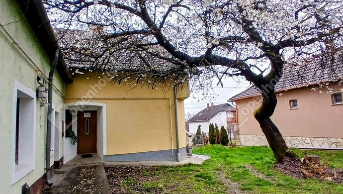 6. kép | Eladó Apartman, Galambok (#180841)