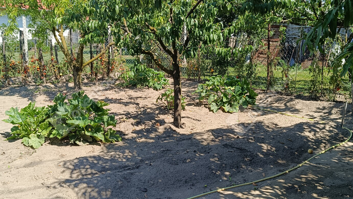 34. kép | Eladó Családi ház, Nagykanizsa (#176993)