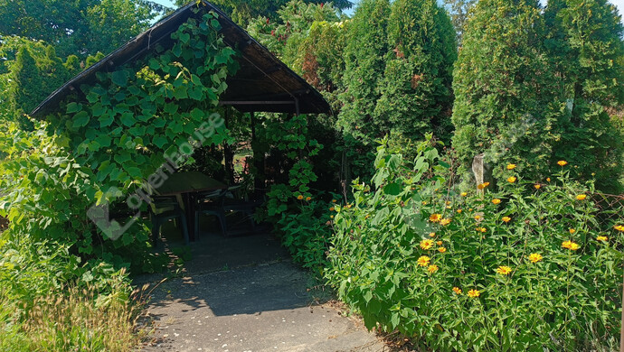 31. kép | Eladó Családi ház, Balatonfenyves (#178128)