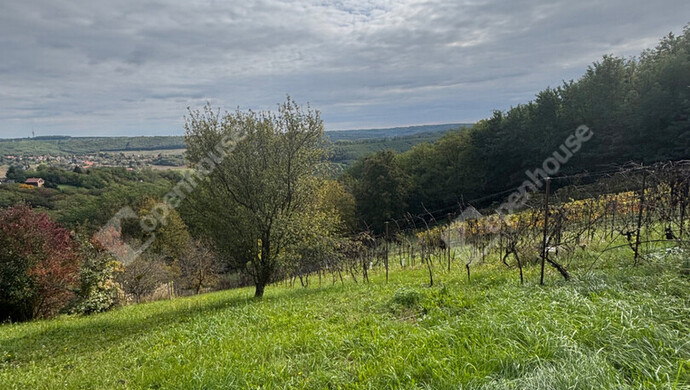 3. kép | Eladó Zárt kert, Milejszeg (#177563)