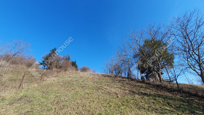 79. kép | Eladó Nyaraló, Homokkomárom (#180173)