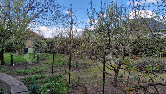 13. kép | Eladó Családi ház, Onga (#181030)